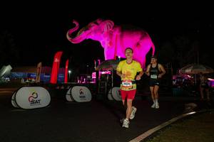 BIB: 
                            <button type="button" onclick="openModal(26535373)" class="btn btn-primary btn-sm float-right btn-popup" data-toggle="modal" data-target=".modal-high-quality">
                        <i class="fas fa-shopping-cart"></i> Add to Cart
                    </button>
                                            <button type="button" onclick="isThisMe(26535373, true)" class="btn btn-success btn-sm float-right btn-popup btn-isme hidden" data-toggle="tooltip" data-placement="bottom" title="นี่คือรูปของคุณใช่ไหม คลิกที่นี่เพื่อเอาเข้าอัลบั้ม">
                        <i class="fas fa-plus"></i> Add to album
                    </button>
                    <button type="button" onclick="isThisMe(26535373, false)" class="btn btn-warning btn-sm float-right btn-popup btn-isnotme hidden">
                        <i class="fas fa-ban"></i> Remove from album
                    </button>